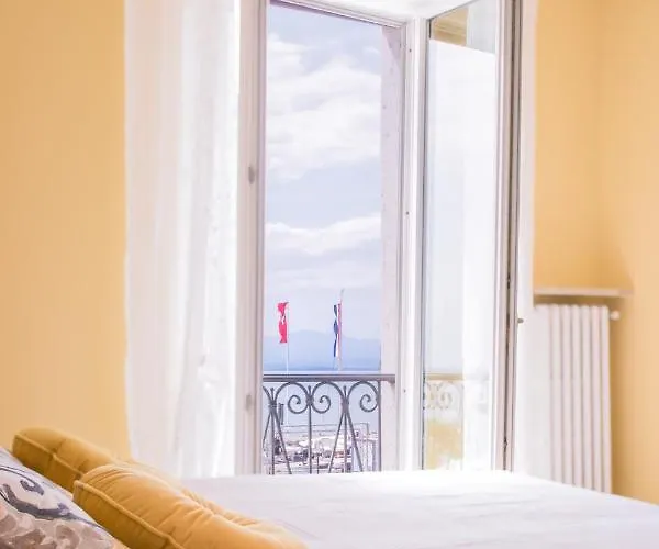 Daisy * ברדולינו