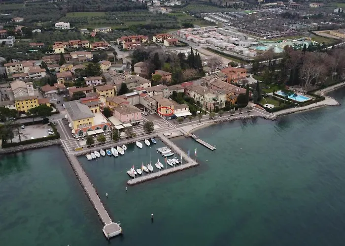 Daisy 바르돌리노